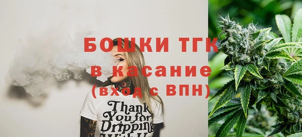 хмурый Арсеньев