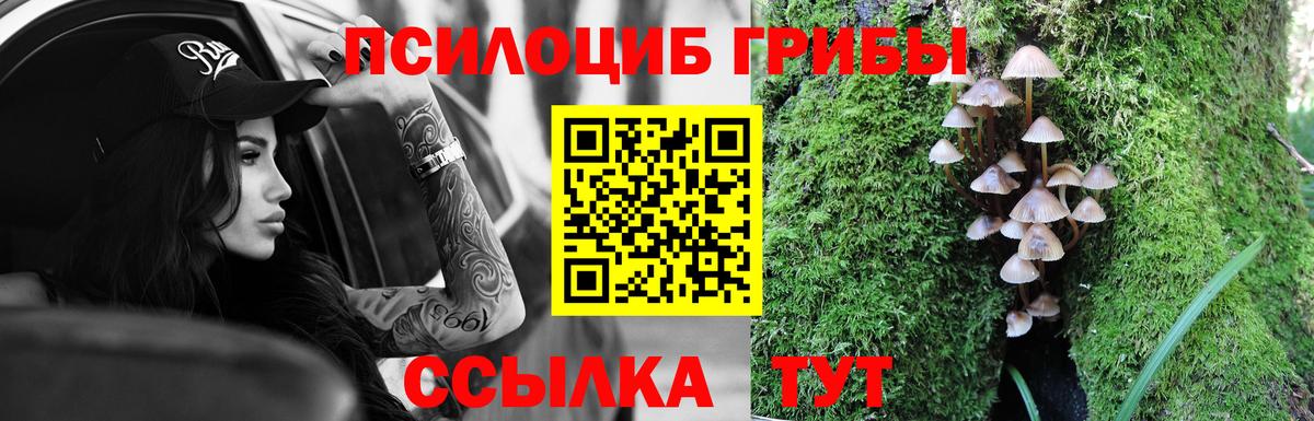 Галлюциногенные грибы GOLDEN TEACHER Волоколамск